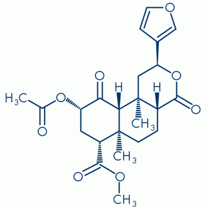 Salvia Chemistry